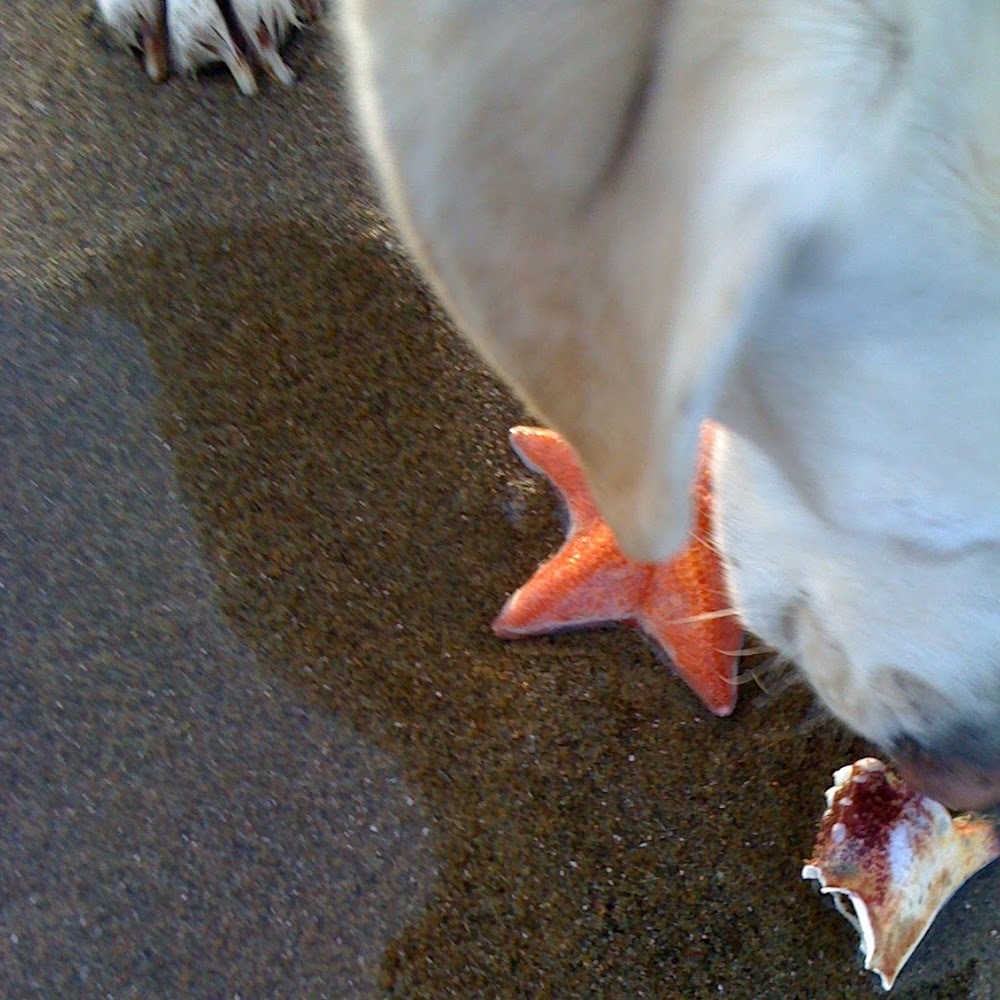 Meet your Posher, Jeanene